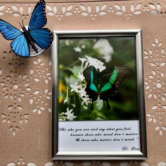 NEW Framed Butterfly on Jasmine Flower Print with Dr. Seuss Quote - Picture 2 of 8